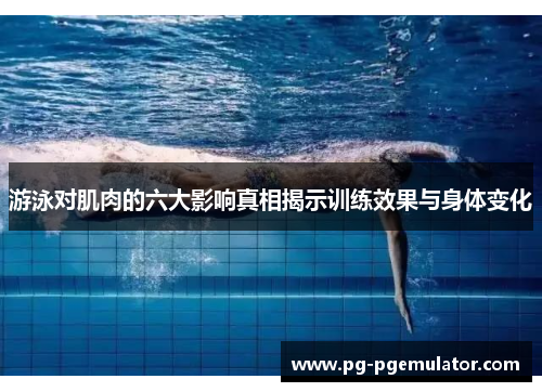 游泳对肌肉的六大影响真相揭示训练效果与身体变化