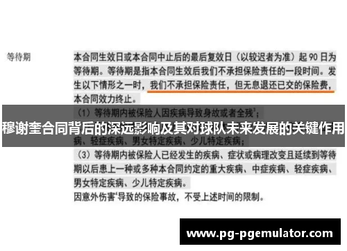 穆谢奎合同背后的深远影响及其对球队未来发展的关键作用
