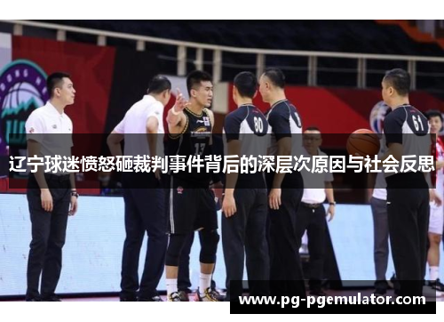 辽宁球迷愤怒砸裁判事件背后的深层次原因与社会反思