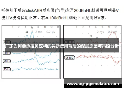 广东为何要承担贝兹利的买断费用背后的深层原因与策略分析