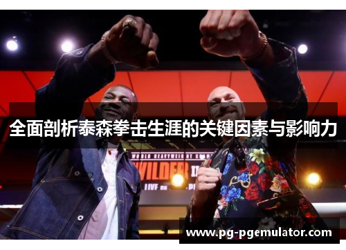 全面剖析泰森拳击生涯的关键因素与影响力