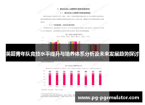 英超青年队竞技水平提升与培养体系分析及未来发展趋势探讨