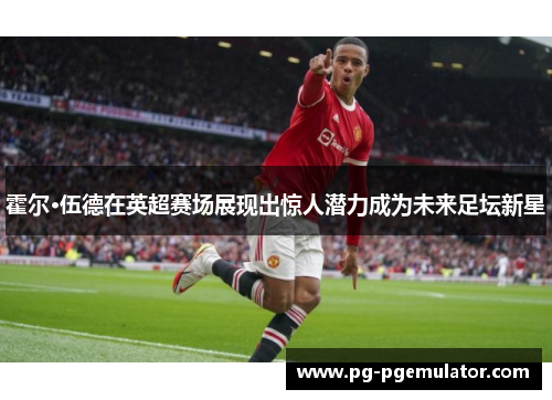 霍尔·伍德在英超赛场展现出惊人潜力成为未来足坛新星